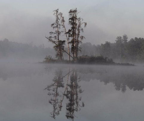 bwca-batch6.jpg