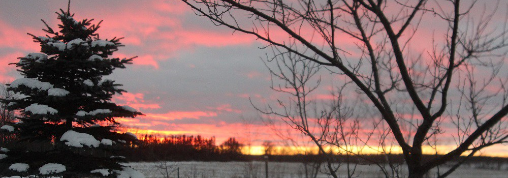 Winter the soul eml