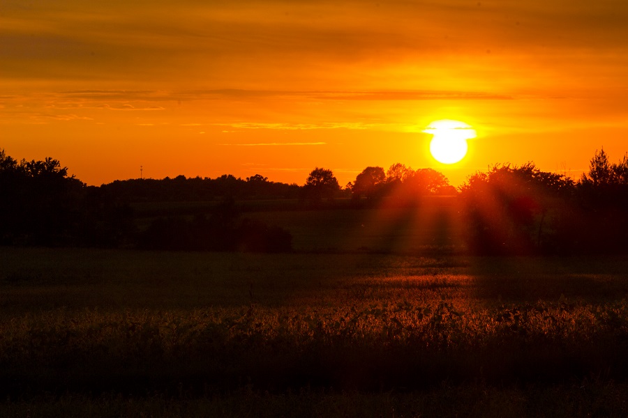 Sun Set on Soybeans eml