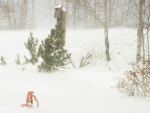 Wind snow blow 2 eml