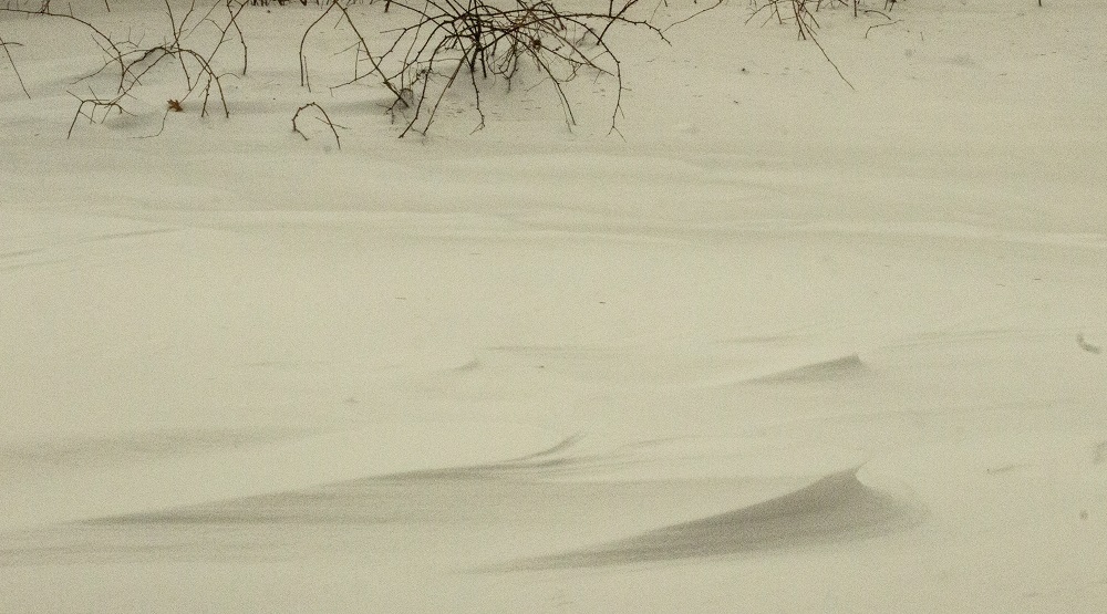 Wind snow sculpture eml