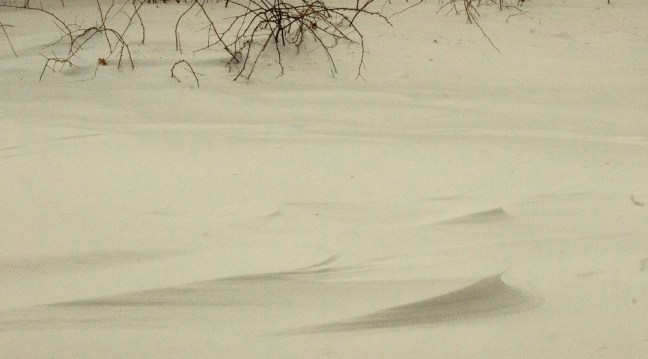 Wind snow sculpture eml