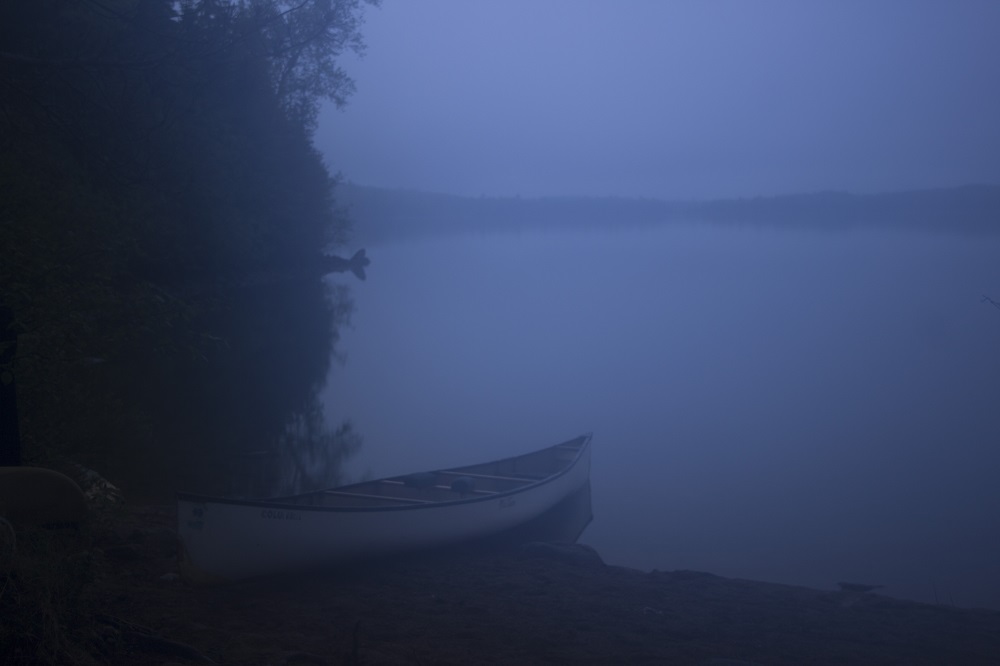 fog eml