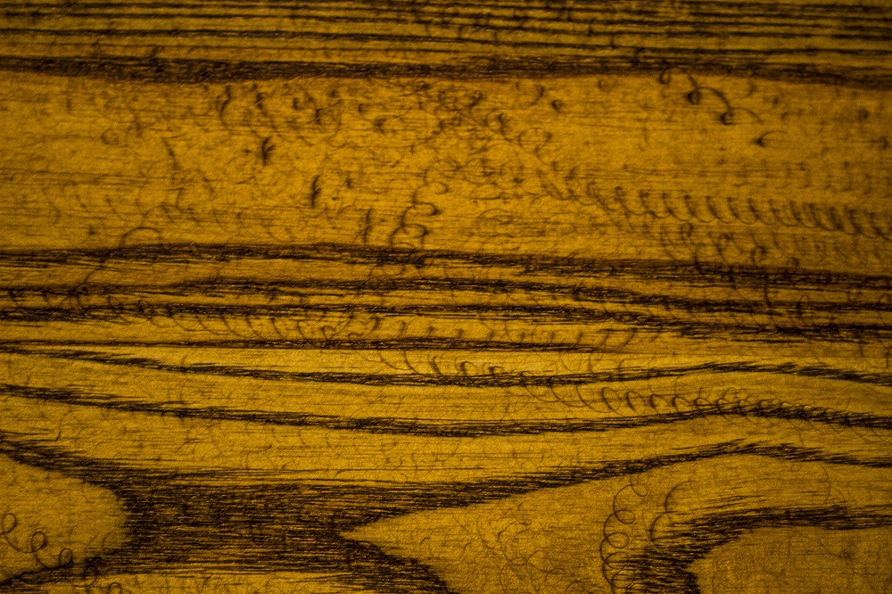 Black Ash Table scars eml