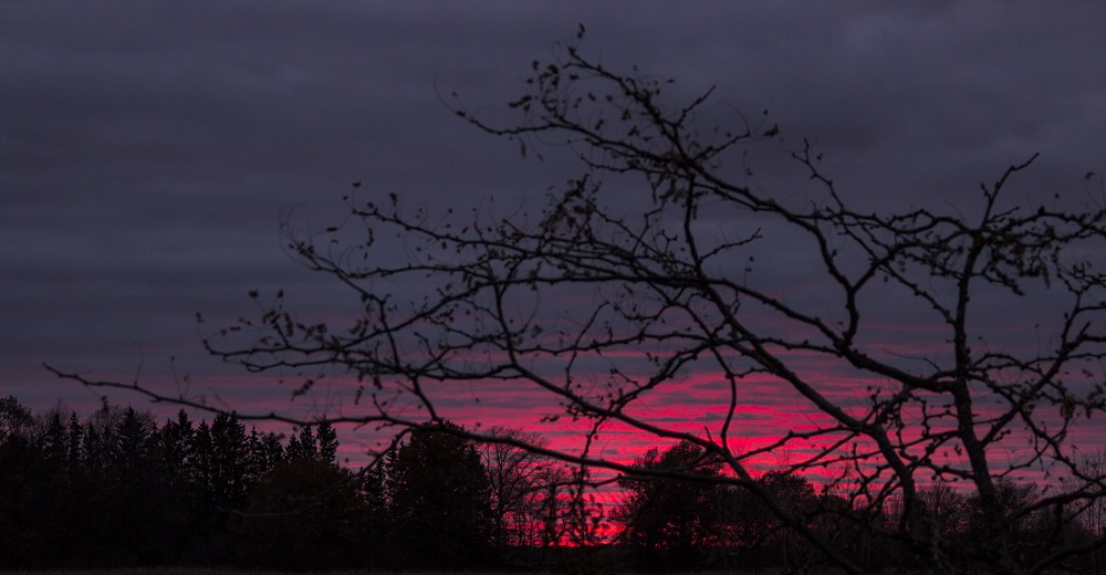 night sky eml