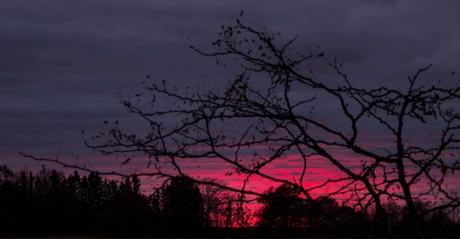 night sky eml