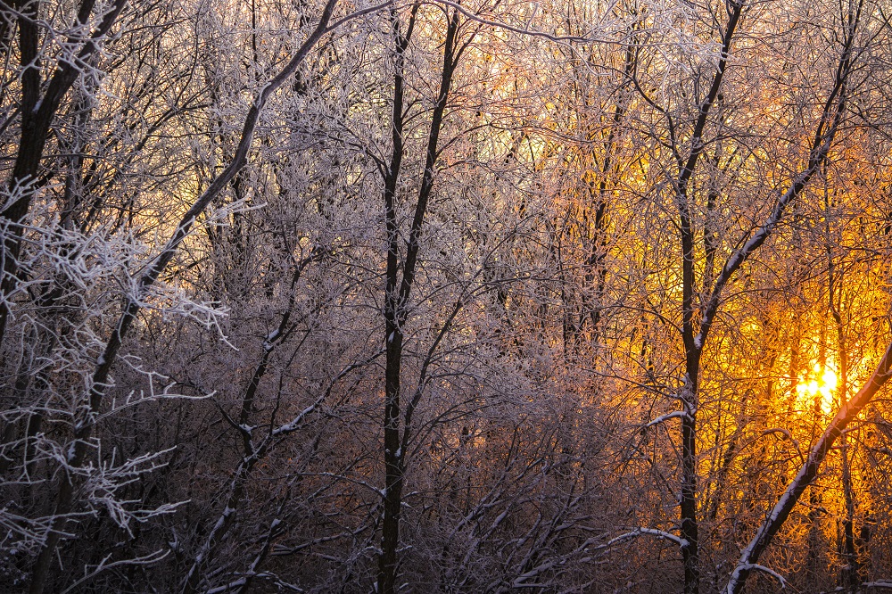 Frosty sunrise eml