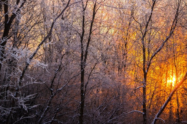 Frosty sunrise eml