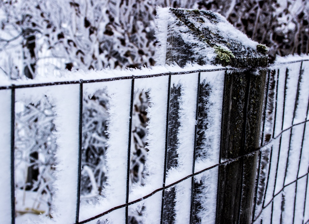 Frost fence 2eml