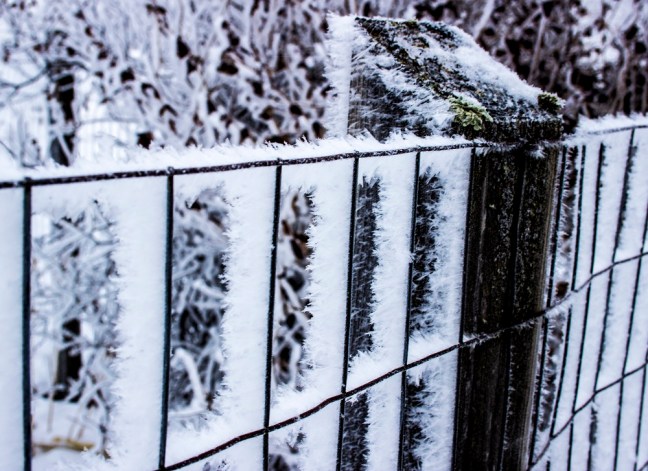 Frost fence 2eml
